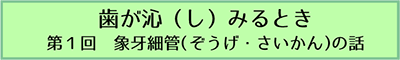 歯が沁みるとき 第1回象牙細管の話